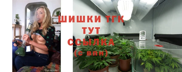 гашик Аркадак