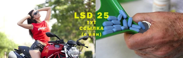 прущие грибы Балахна