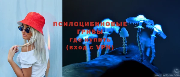прущие грибы Балахна