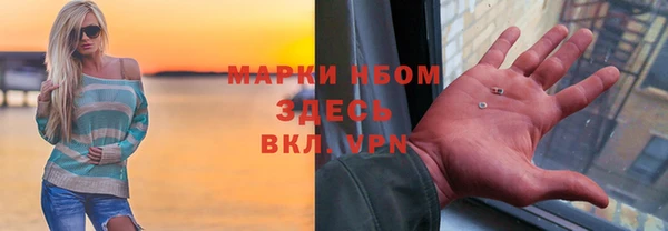 прущие грибы Балахна