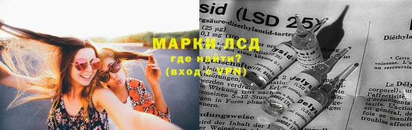 гашик Аркадак