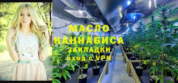 гашик Аркадак